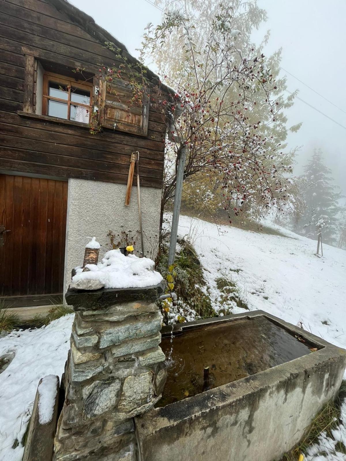 Chalet La Paz With Hotpot And Sauna Villa Törbel Esterno foto